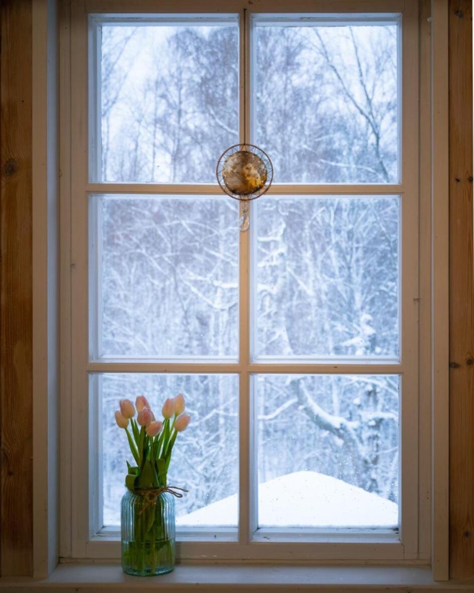 Kolin Mattila B&B Koli  ภายนอก รูปภาพ