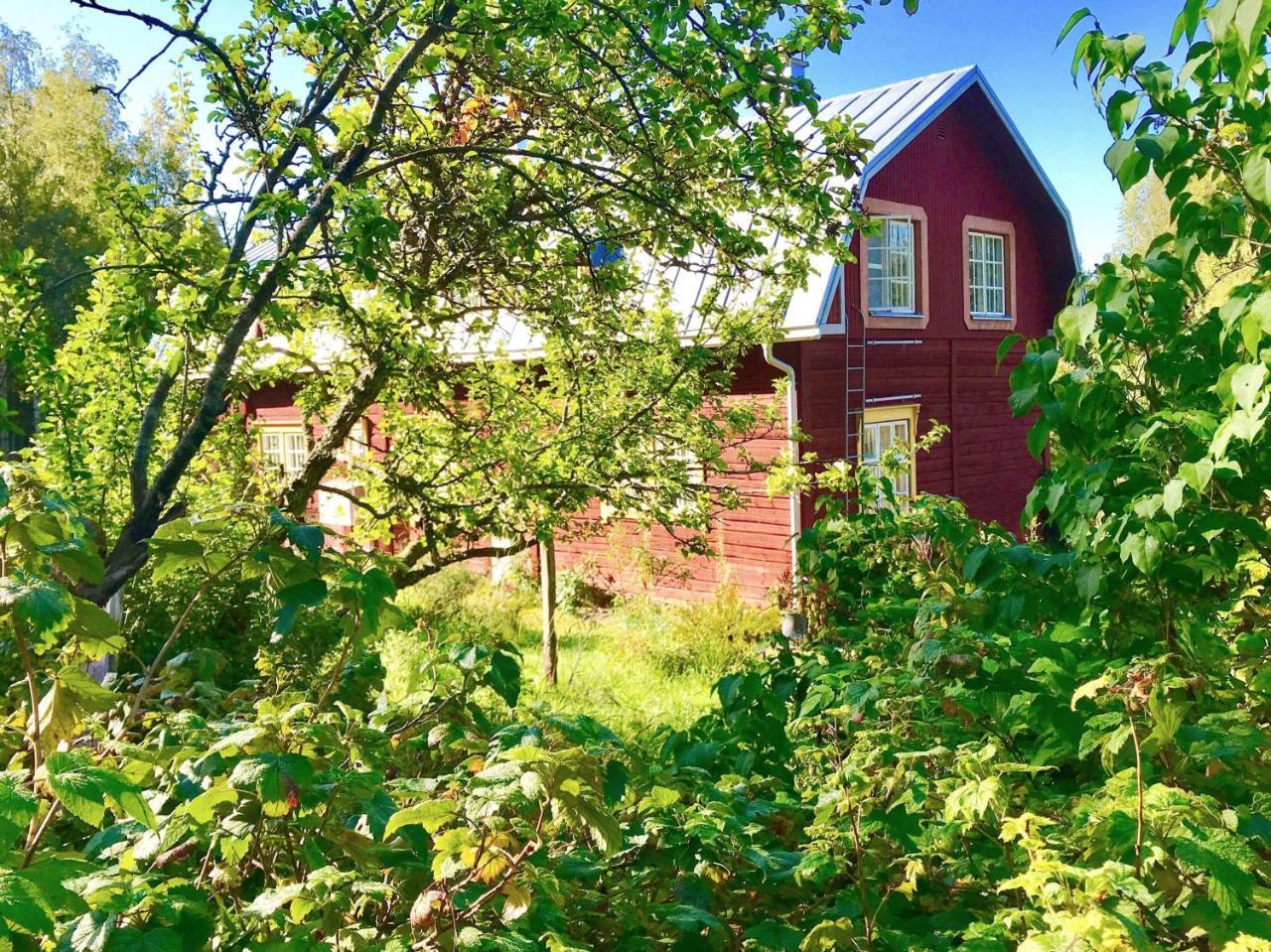 Kolin Mattila B&B Koli  ภายนอก รูปภาพ