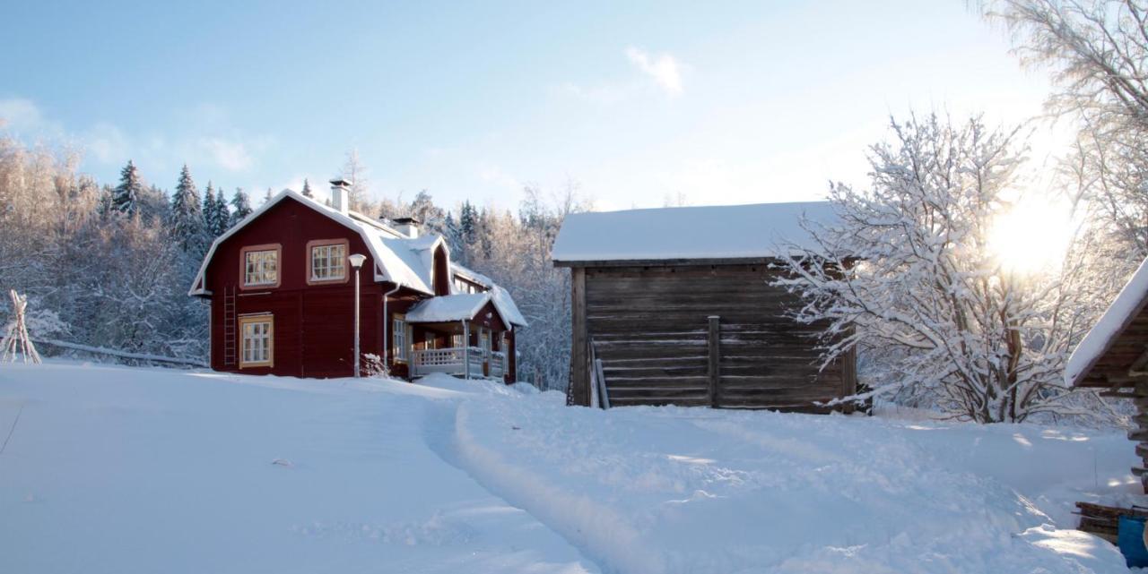 Kolin Mattila B&B Koli  ภายนอก รูปภาพ